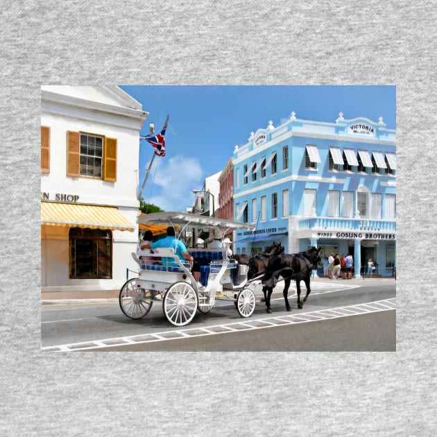 Hamilton Bermuda - Carriage Ride by SusanSavad